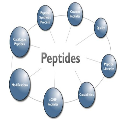 Peptide Synthesis