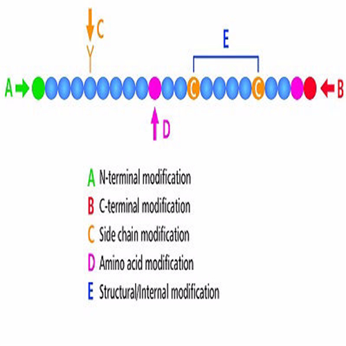 Peptide Modifications